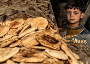 الجوع يطارد السوريين: مخازن القمح شبه خاوية