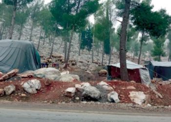 قصف مدفعي للنظام على ريفي إدلب وحلب