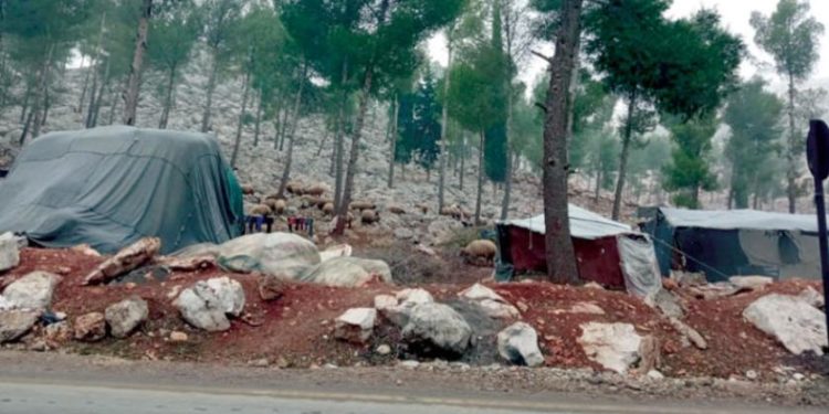 قصف مدفعي للنظام على ريفي إدلب وحلب