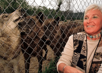 “ابنة الخائن”.. تنظيف التاريخ