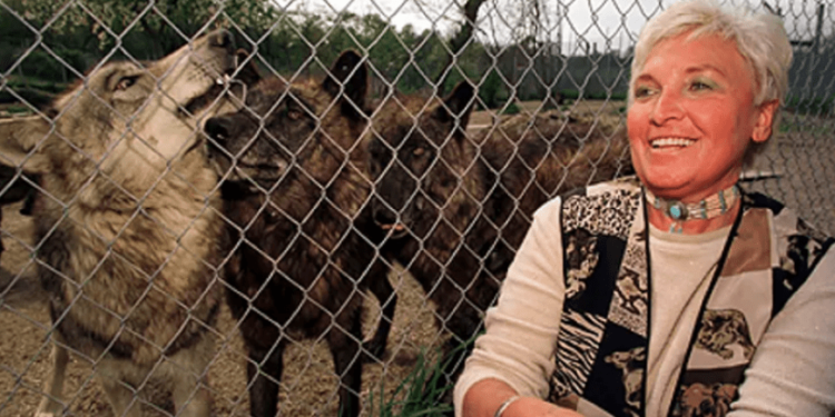 “ابنة الخائن”.. تنظيف التاريخ