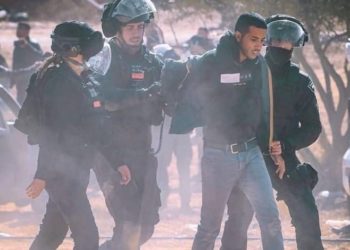 النقب تنتفض رفضا لعمليات تجريف الاحتلال.. وإضراب شامل