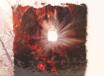 ” ثم إهتديت ” أصالة التشيع العربي