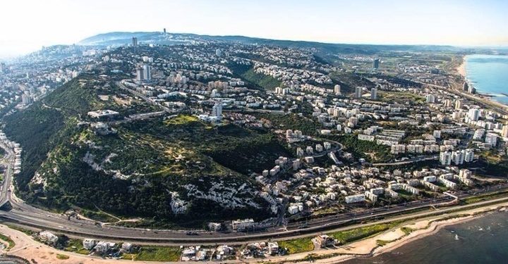 جبل الكرمل ذاكرة المبدعين الفلسطينيين و”قدسية” المكان