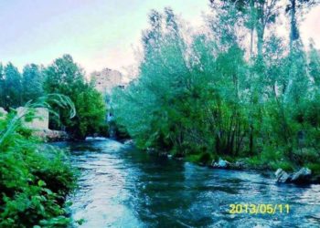 عندما يعن على بالك بردى