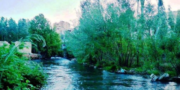 عندما يعن على بالك بردى