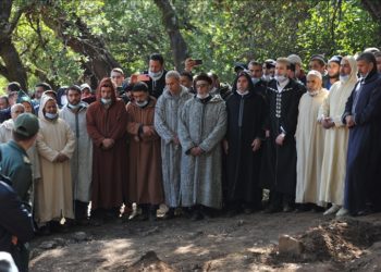 ريان والإعلام