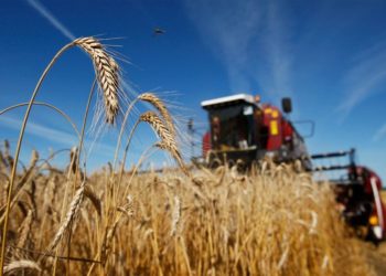 الحرب الروسية الطويلة على أوكرانيا ستهدد الأمن الغذائي