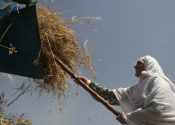 في تعرية البنى الفاشلة والمتهافتة