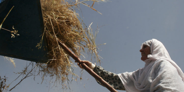 في تعرية البنى الفاشلة والمتهافتة