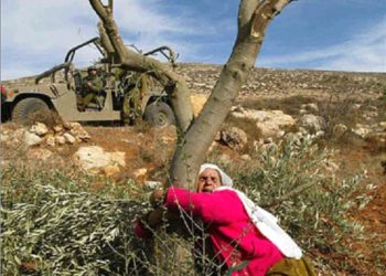 كيف شكّل الشعب الفلسطيني هويته الوطنية ورسخها؟