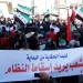 هل الشعب يريد فقط إسقاط النظام؟