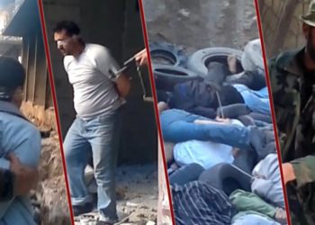 أيةُ ذئبه ؟!!