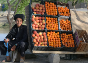 الحرب في أوكرانيا اعتداء صامت على العالم النامي