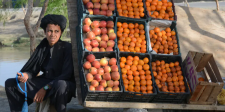 الحرب في أوكرانيا اعتداء صامت على العالم النامي