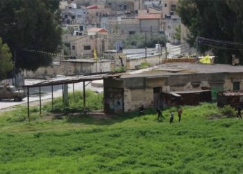 موعد في جنين