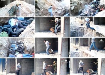 جريمة “حي التضامن” واستعادة الرؤية الصحيحة للمسألة السورية