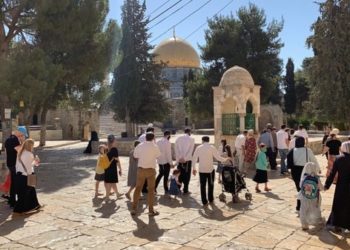 مستوطنون يهددون باقتحام المسجد الأقصى في ذكرى احتلال فلسطين