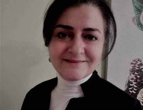 عن مقالة الكاتبة التركية  (بيرين بيرسايجيلي موت)