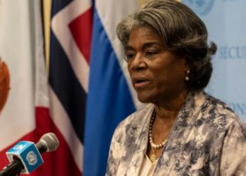 غرينفيلد لتلفزيون سوريا: دخول المساعدات سيستمر حتى لو أوقفت روسيا آلية عبورها