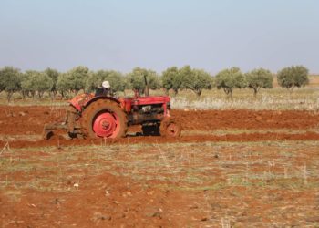 مع قدوم موسم الحصاد… فلاحو درعا يشكون الغلاء ونقص المساحات الزراعية