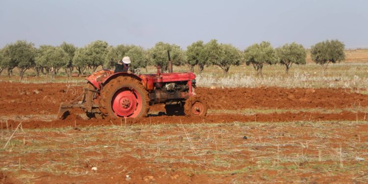 مع قدوم موسم الحصاد… فلاحو درعا يشكون الغلاء ونقص المساحات الزراعية