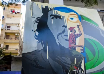 مصر. “الثورة ليست دُبًّا في الشارع”، عن التغيّرات الاجتماعية بعد 25 يناير