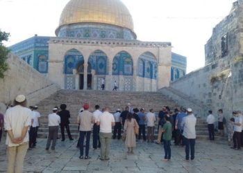 مستوطنون يقتحمون الأقصى واعتقالات واسعة بالضفة