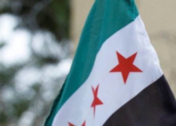 من الثورة إلى الهاوية !