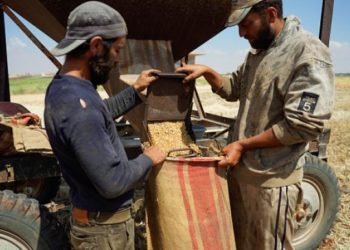 هكذا تحولت سورية من مُصدّر إلى مستورد للإنتاج الزراعي