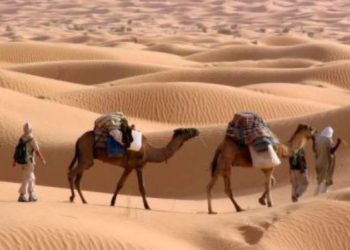 الإسلام بين وعيه الحضاري وفهمه البدوي