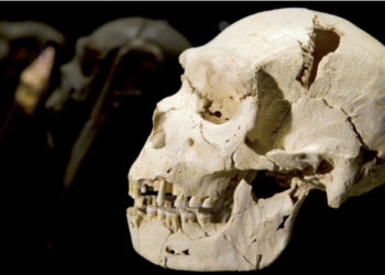 بداية التاريخ‏: النجاة من عصر المخاطر الكارثية‏