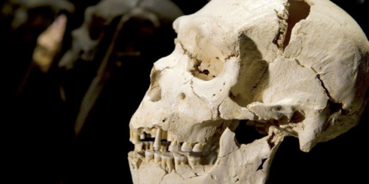 بداية التاريخ‏: النجاة من عصر المخاطر الكارثية‏