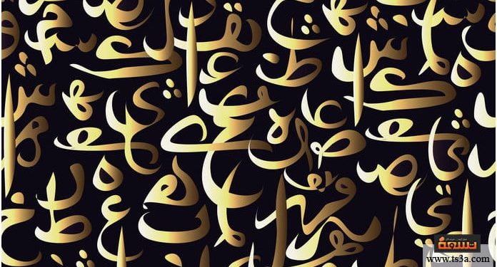 ضياع اللغة ضياع للأم