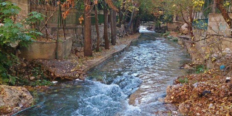 قارورة الفيجة