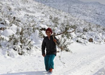 أزمة المحروقات تدفع السوريين للبدائل: الحطب والبالة