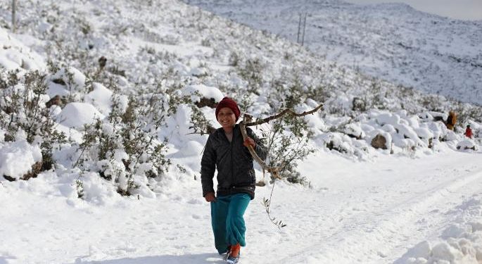 أزمة المحروقات تدفع السوريين للبدائل: الحطب والبالة