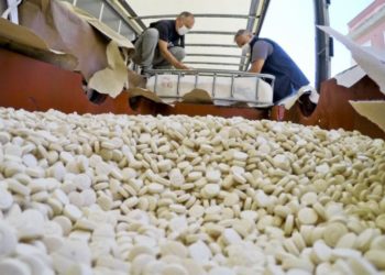 الكشف عن مصنع للكبتاغون في دير الزور وخط تصدير جديد إلى الخليج