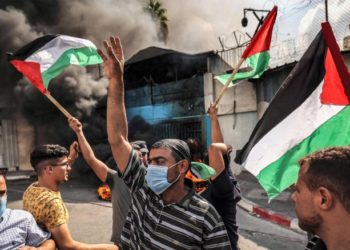 فلسطين الجديدة