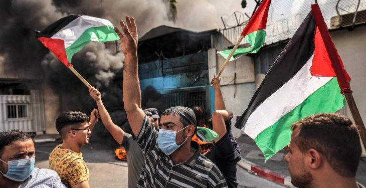 فلسطين الجديدة