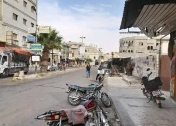 قائد مجموعة محلية: دمشق كانت أكبر المستفيدين من «داعش» في مناطق التسويات