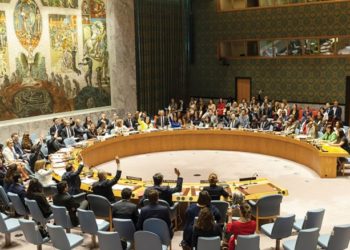 مجلس الأمن الدولي واجترار الكلام عن حل الدولتين – جعحجة من دون طحين