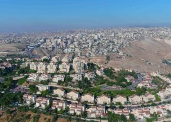 المجتمع الدولي ودوره في مواجهة المنظمات الاستيطانية