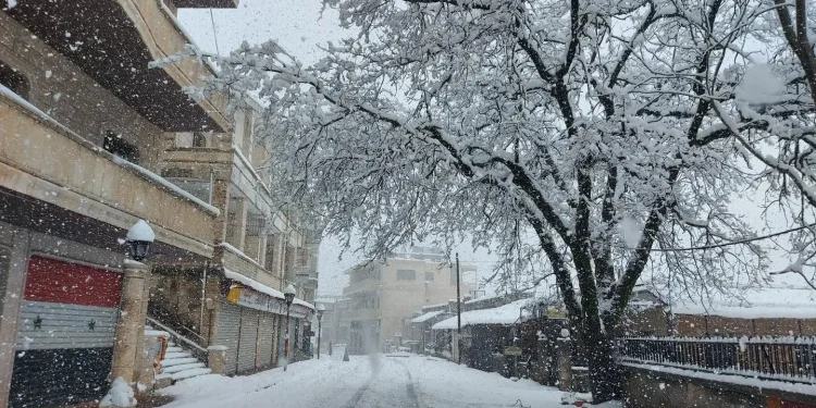 شتاء سوريّة الطويل