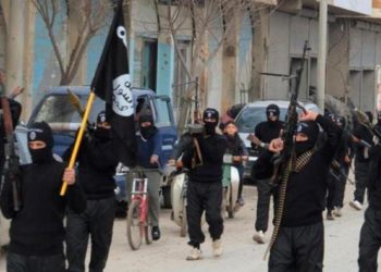 عجل «القاعدة» في الشمال السوري!