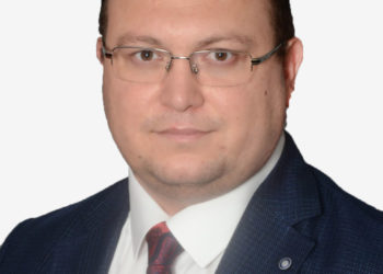 تعليق على مقال لصحفي تركي