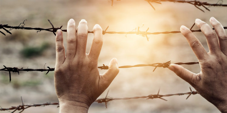 حقوق الإنسان الضائعة بين تراخي المشرعين وتسلط المستبدين