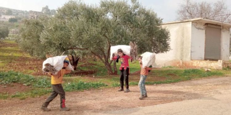 جمع الحطب في الجبال الوعرة «مصدر رزق» لأطفال سوريين نازحين يبيعونه بثمن زهيد أو يستخدمونه للتدفئة في فصل الشتاء