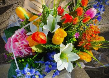 أُمِي مِنْ أَيْنَ له حرفي ؟!