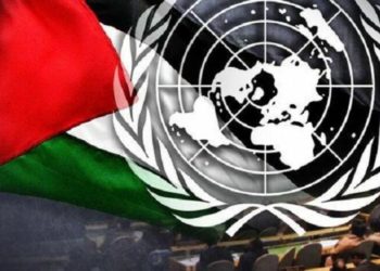 الميثاق الدولي وعضوية فلسطين في الأمم المتحدة